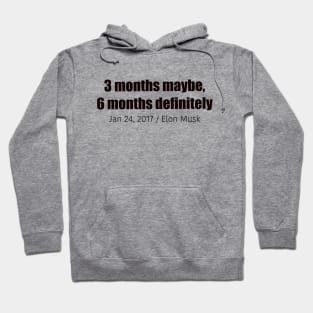 Elon Musk - 3 months maybe, 6 months definitely Hoodie